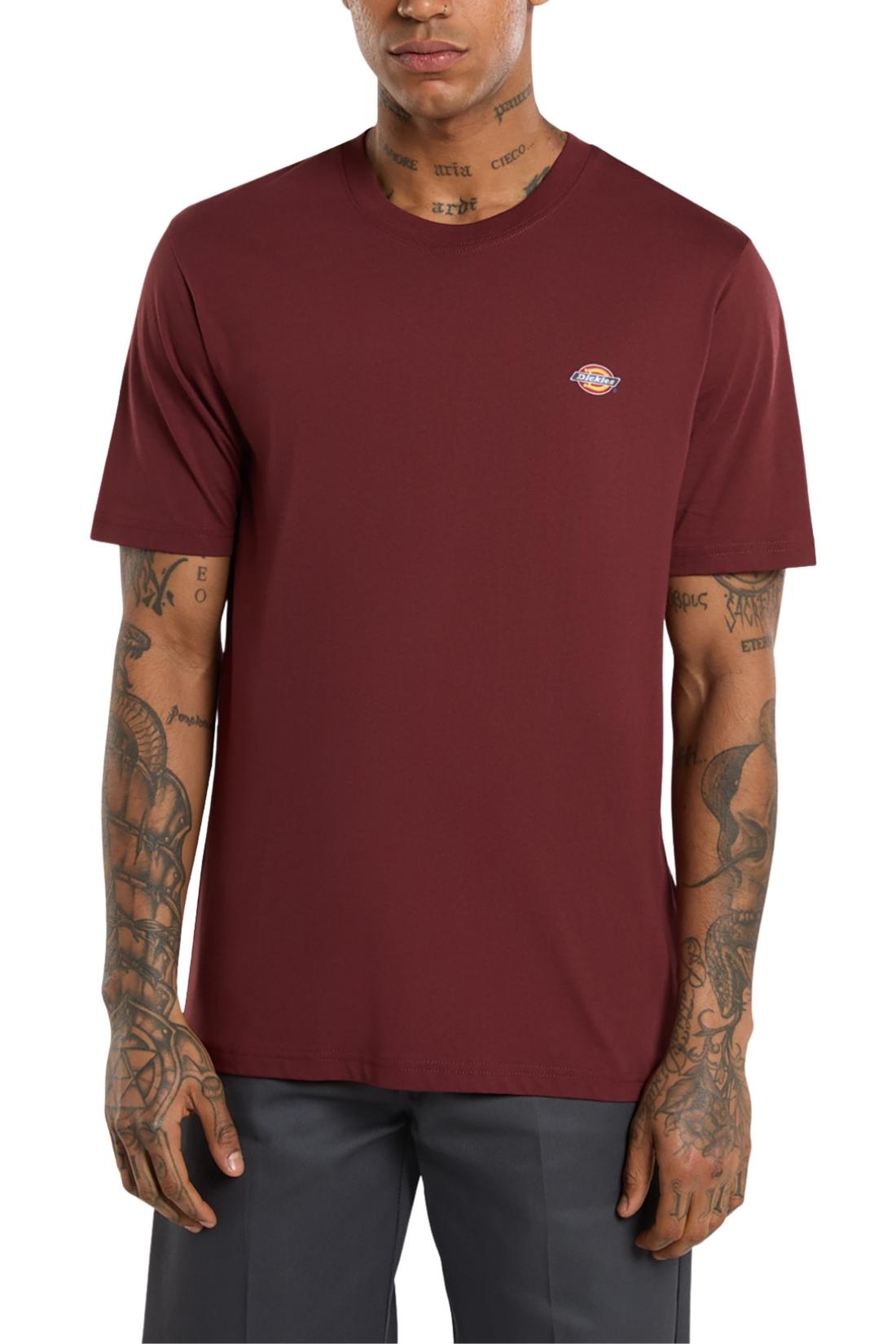 DICKIES - T-shirt uomo Mapleton-11