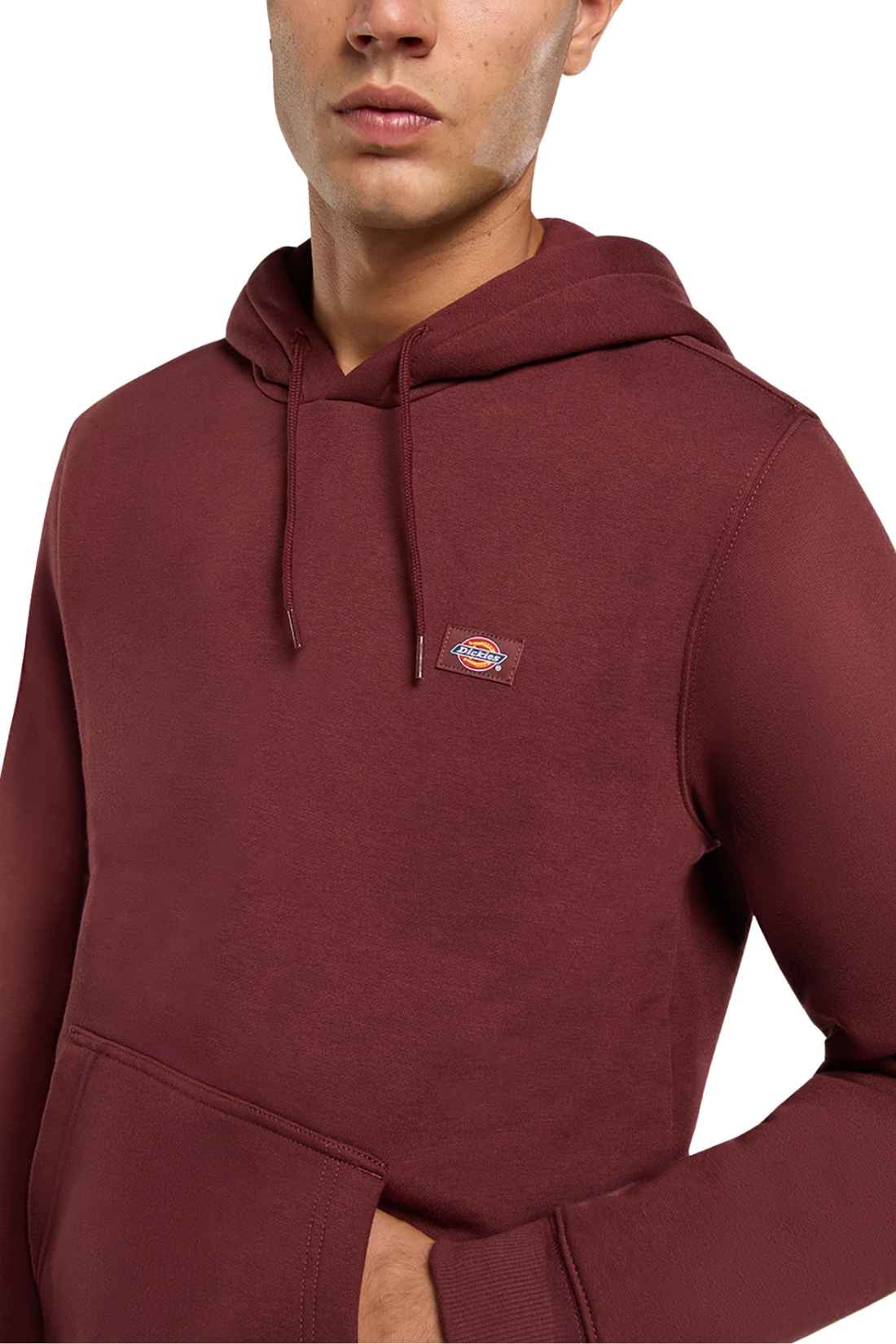 DICKIES - Men's Oakport hoodie-3